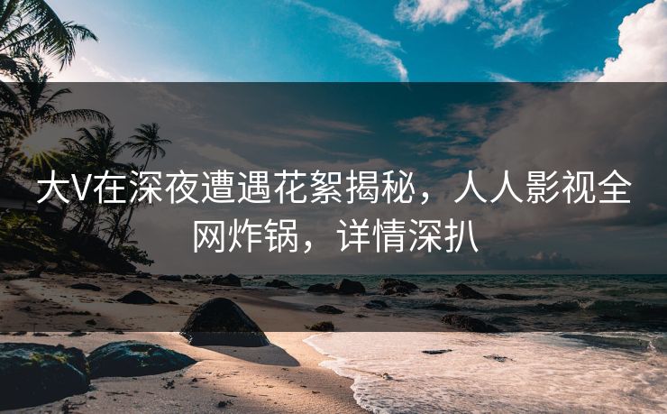 大V在深夜遭遇花絮揭秘，人人影视全网炸锅，详情深扒