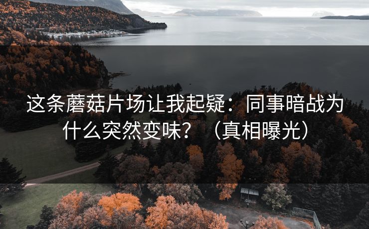 这条蘑菇片场让我起疑：同事暗战为什么突然变味？（真相曝光）