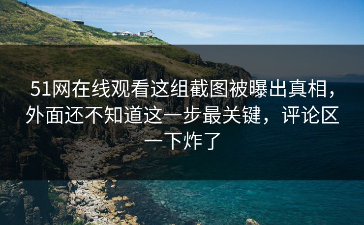 51网在线观看这组截图被曝出真相，外面还不知道这一步最关键，评论区一下炸了